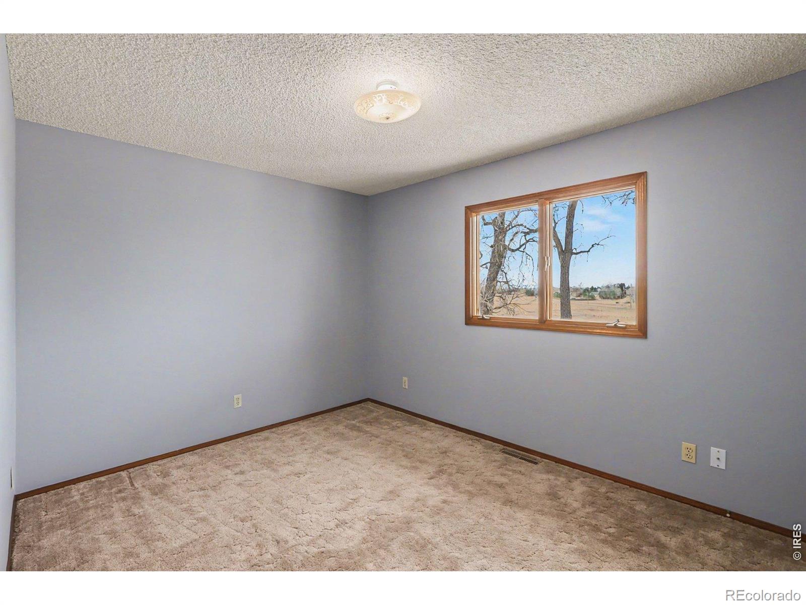 MLS Image #17 for 13168 n 95th street,longmont, Colorado