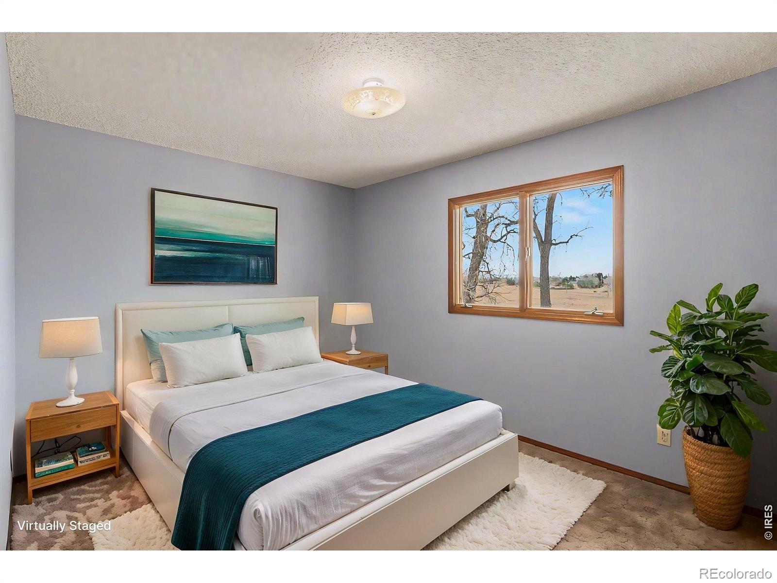 MLS Image #24 for 13168 n 95th street,longmont, Colorado