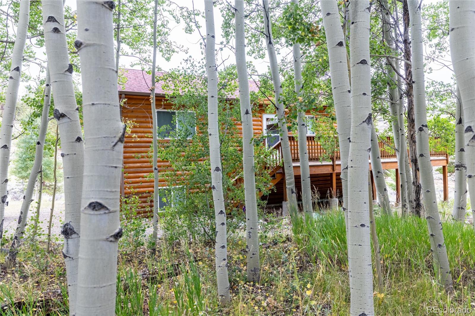 MLS Image #12 for    ,, Colorado