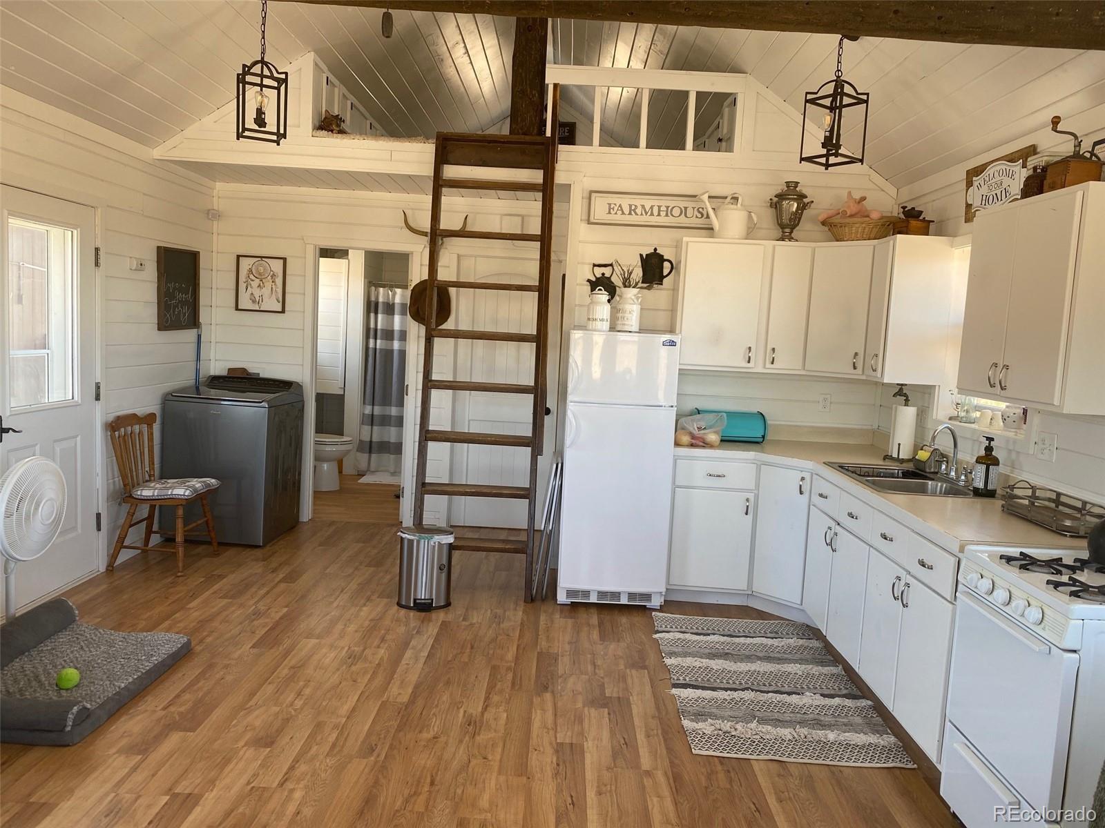 MLS Image #4 for 27028  garo park drive,blanca, Colorado