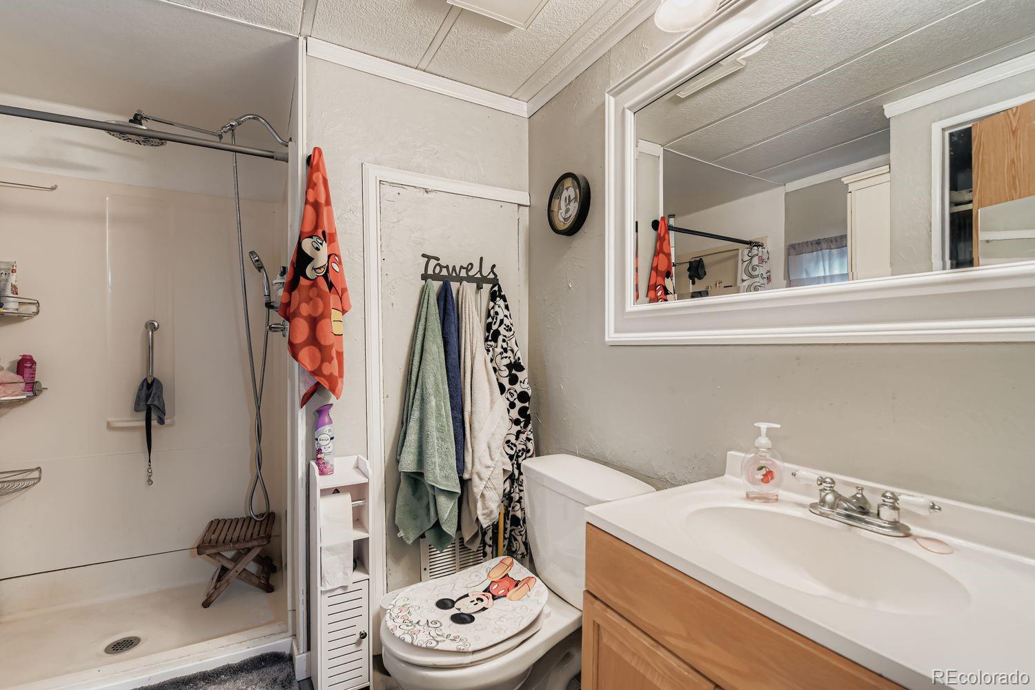 MLS Image #16 for 131  winnipeg street,lochbuie, Colorado