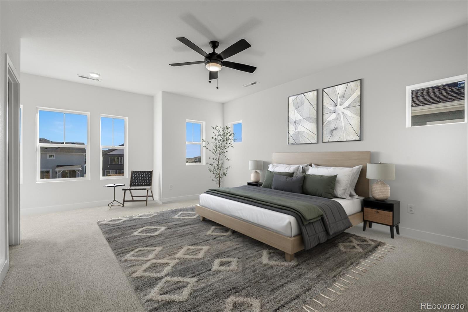 MLS Image #14 for 8916  wolf valley drive,colorado springs, Colorado