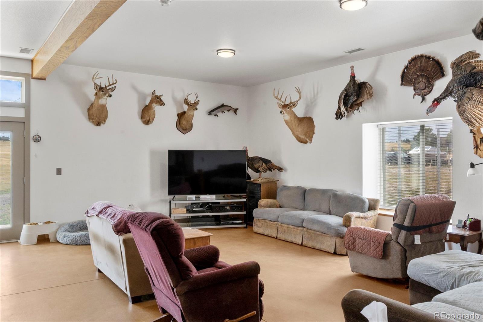 MLS Image #5 for 2151  elizabeth drive,parker, Colorado