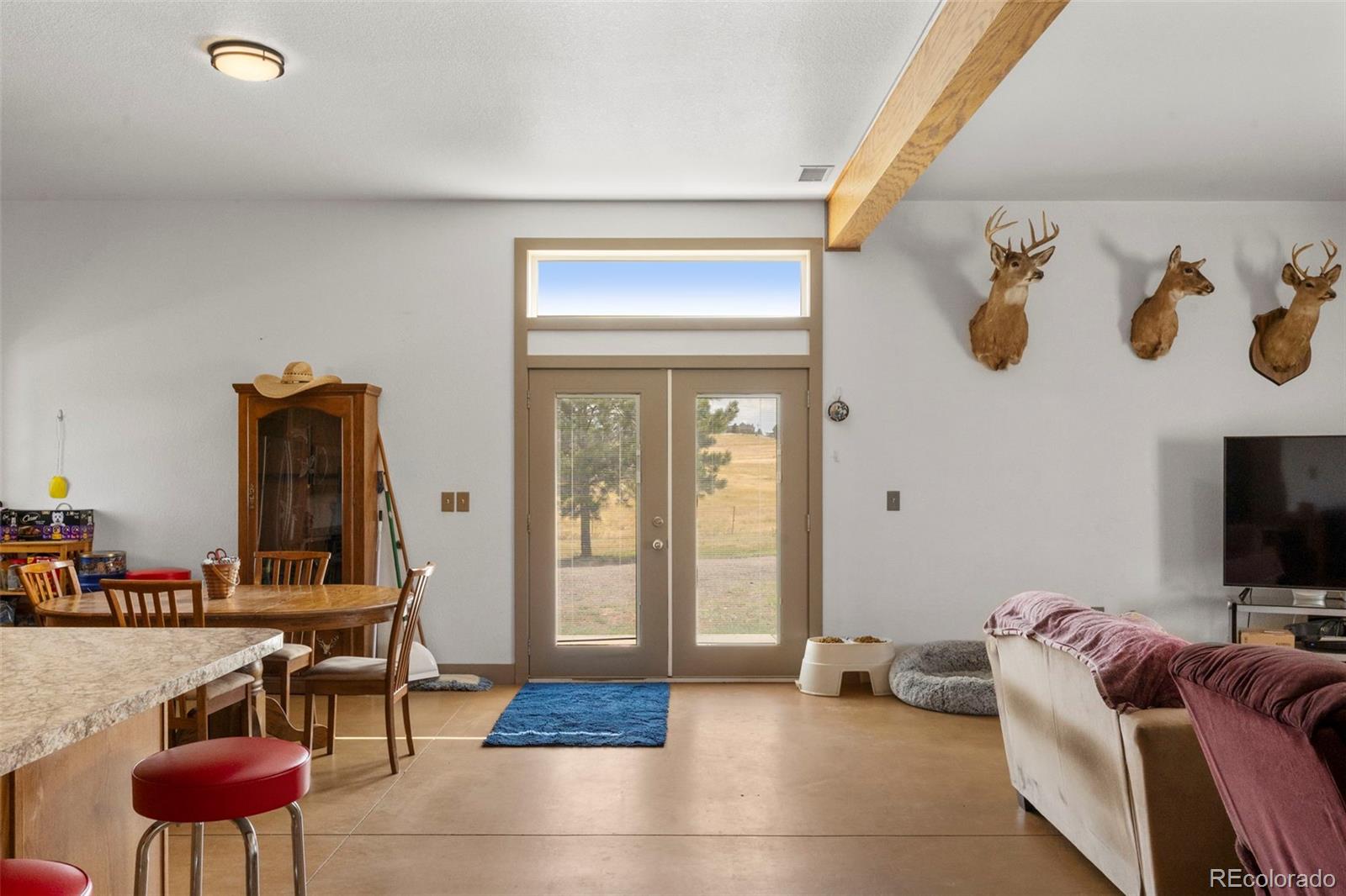 MLS Image #7 for 2151  elizabeth drive,parker, Colorado