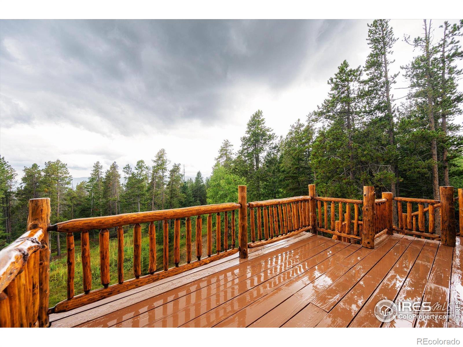 MLS Image #20 for 122  elk way,drake, Colorado