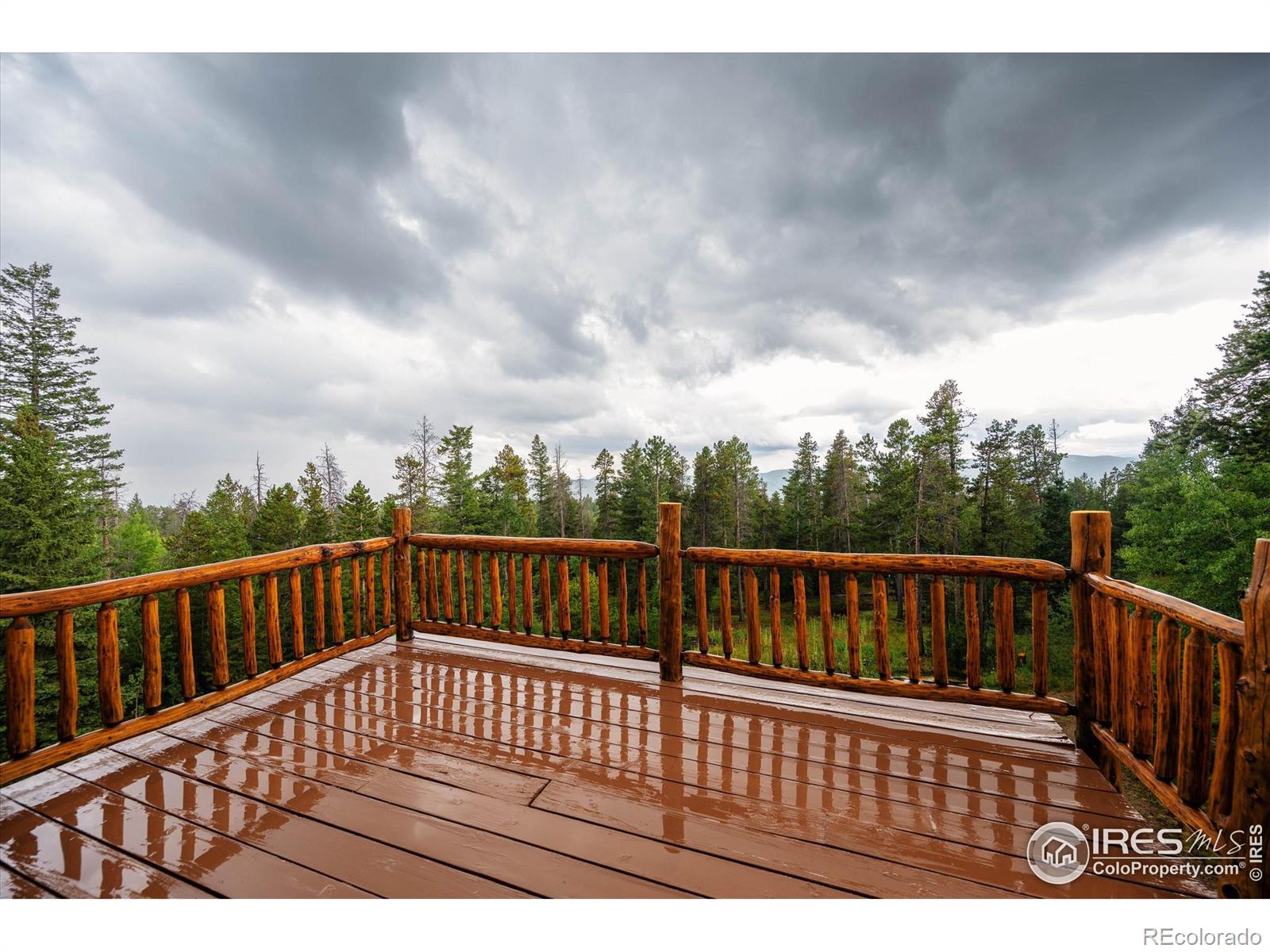 MLS Image #21 for 122  elk way,drake, Colorado