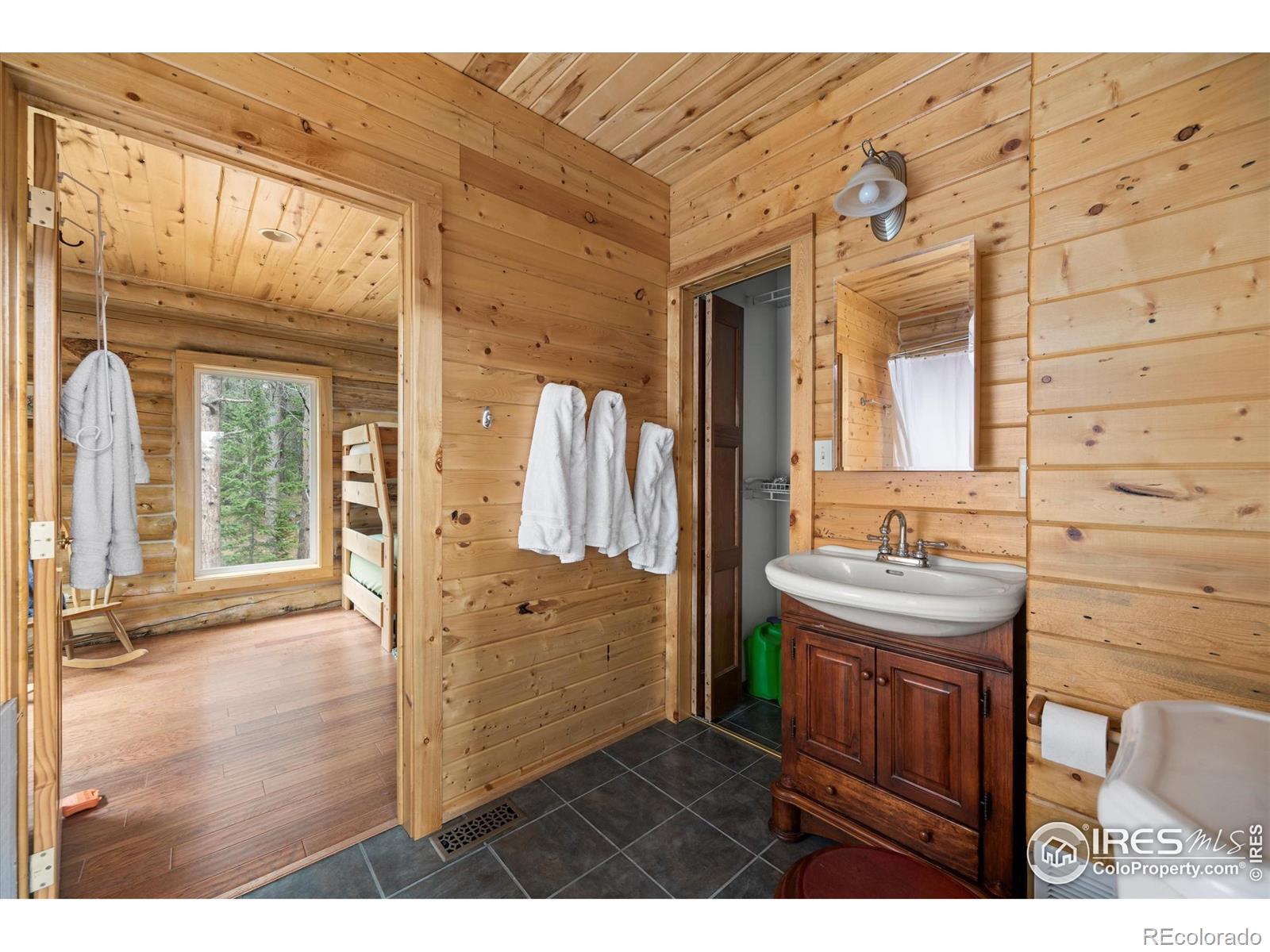 MLS Image #23 for 122  elk way,drake, Colorado