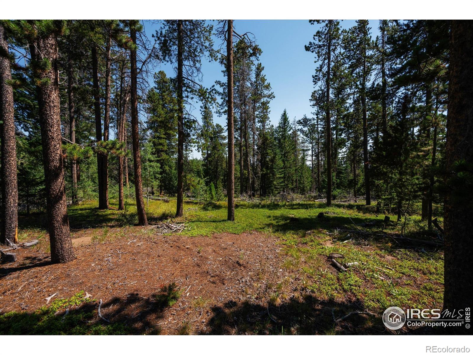 MLS Image #29 for 122  elk way,drake, Colorado