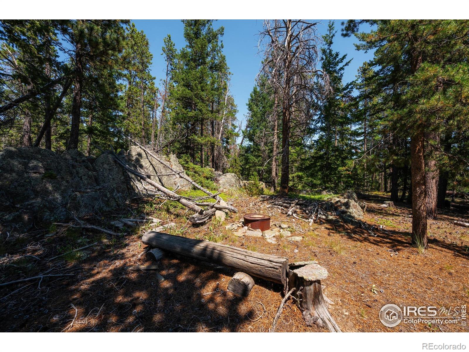 MLS Image #30 for 122  elk way,drake, Colorado