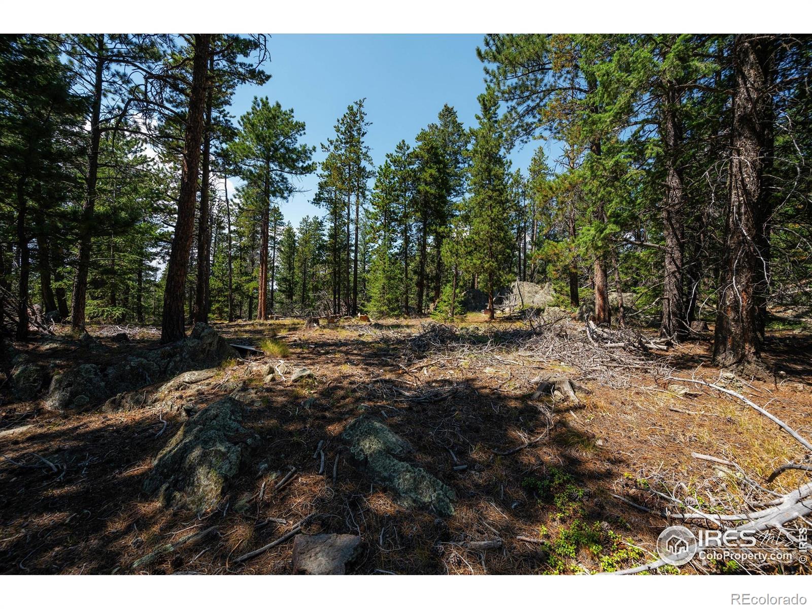 MLS Image #31 for 122  elk way,drake, Colorado