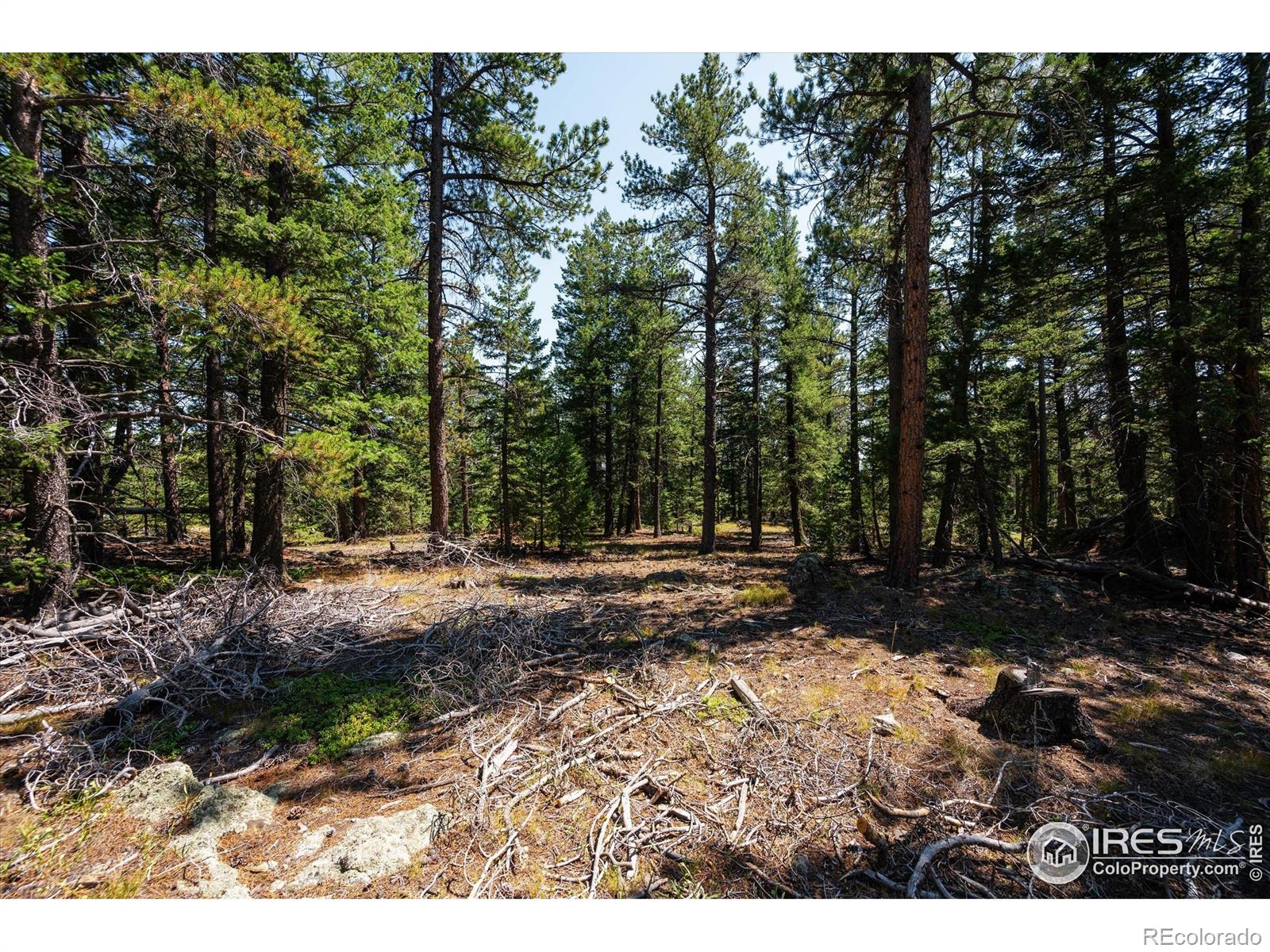 MLS Image #32 for 122  elk way,drake, Colorado