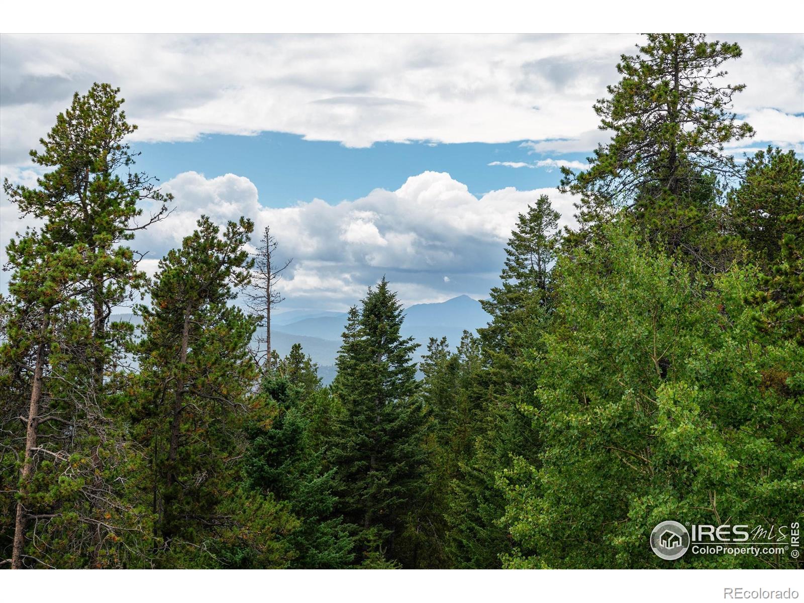 MLS Image #36 for 122  elk way,drake, Colorado
