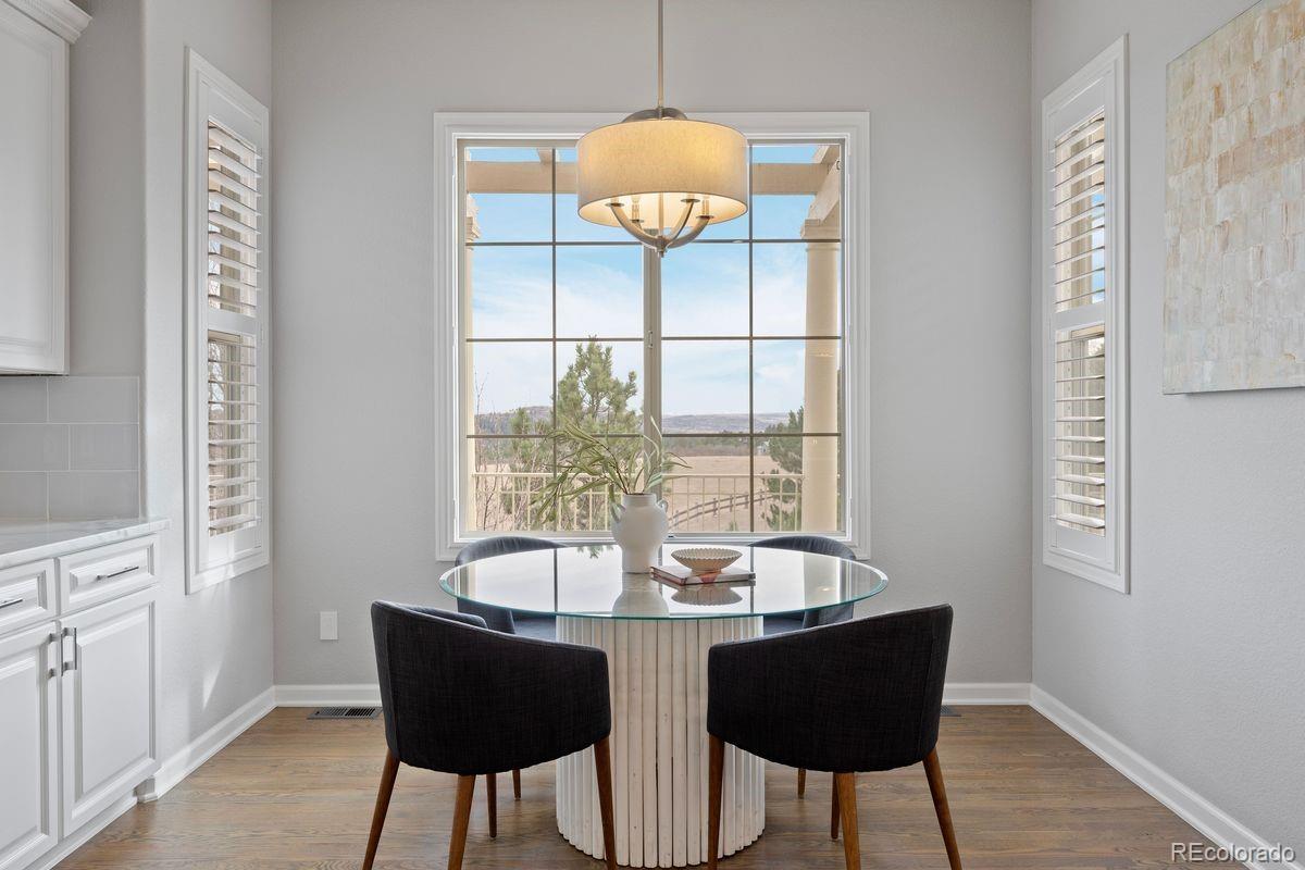 MLS Image #12 for 6247  el diente peak place,castle rock, Colorado