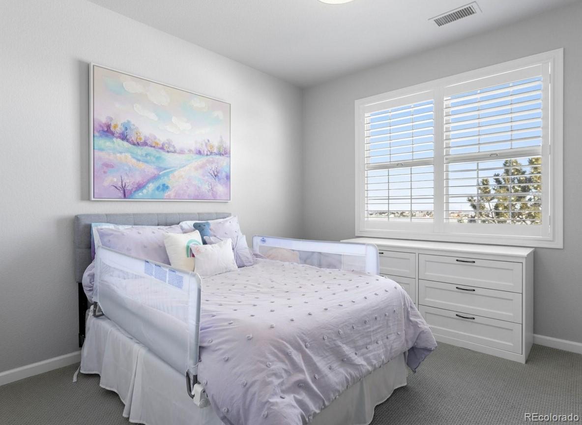 MLS Image #26 for 6247  el diente peak place,castle rock, Colorado