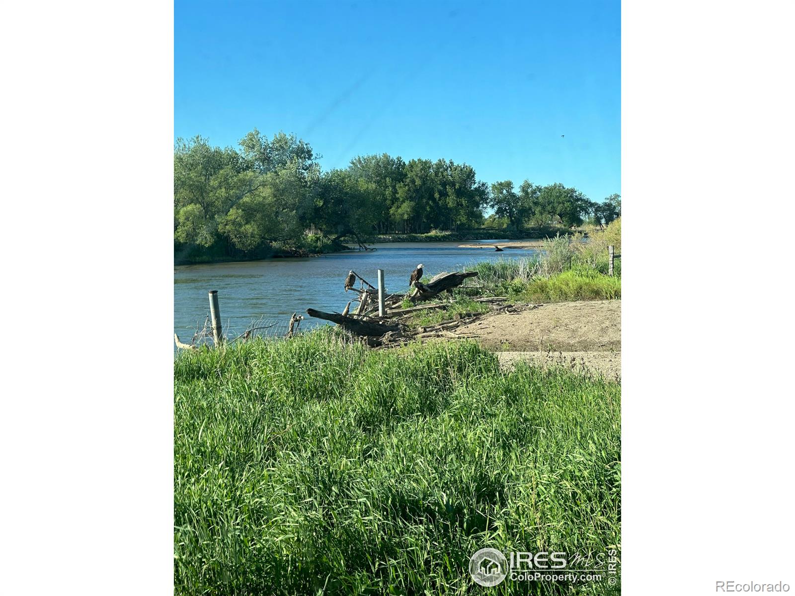 MLS Image #41 for 27446  county road 388 ,kersey, Colorado