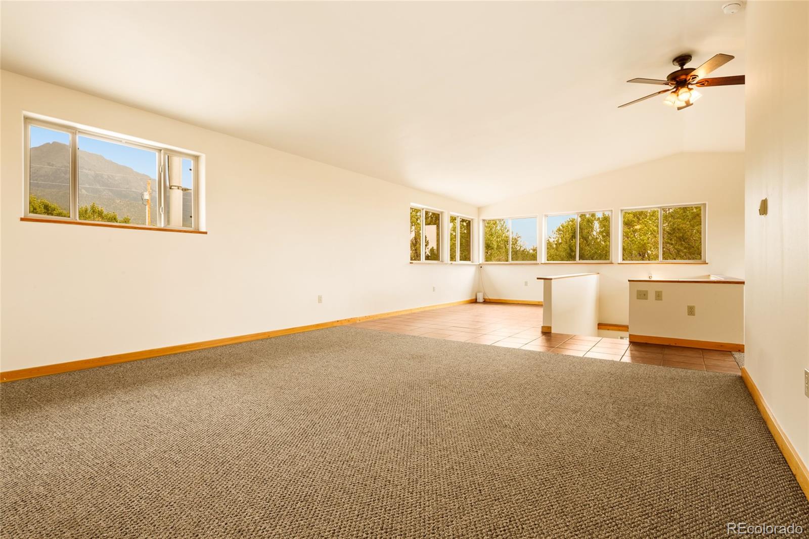MLS Image #23 for 235 s hemlock street,crestone, Colorado