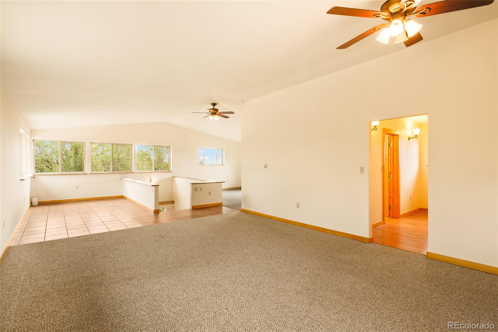 MLS Image #24 for 235 s hemlock street,crestone, Colorado