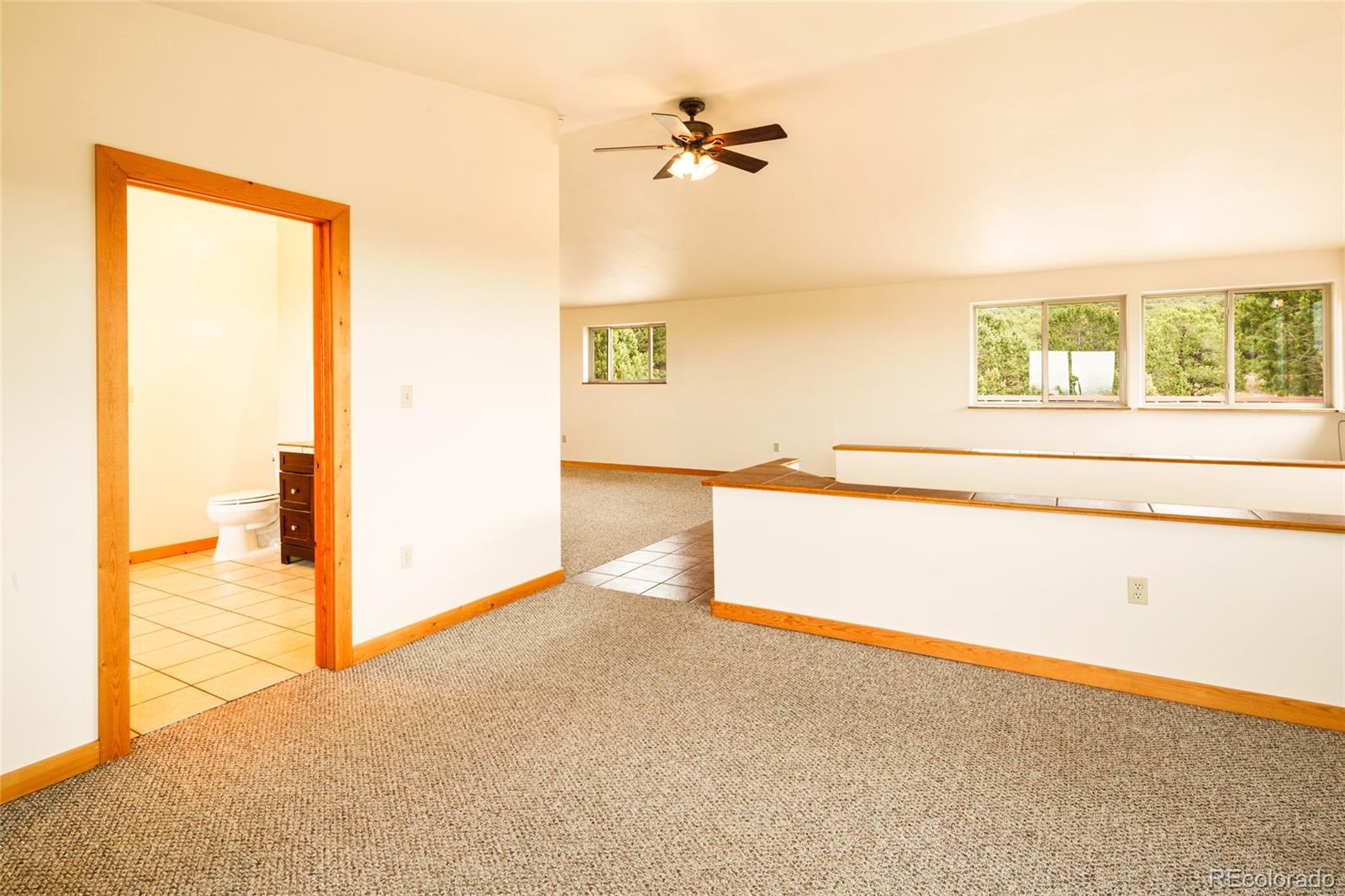 MLS Image #28 for 235 s hemlock street,crestone, Colorado