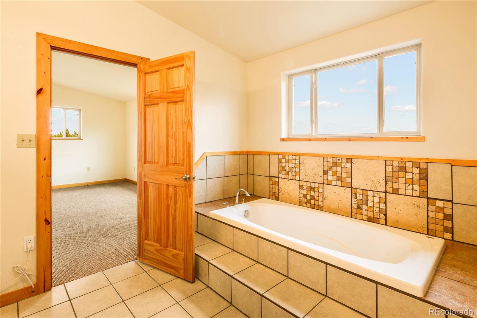MLS Image #32 for 235 s hemlock street,crestone, Colorado