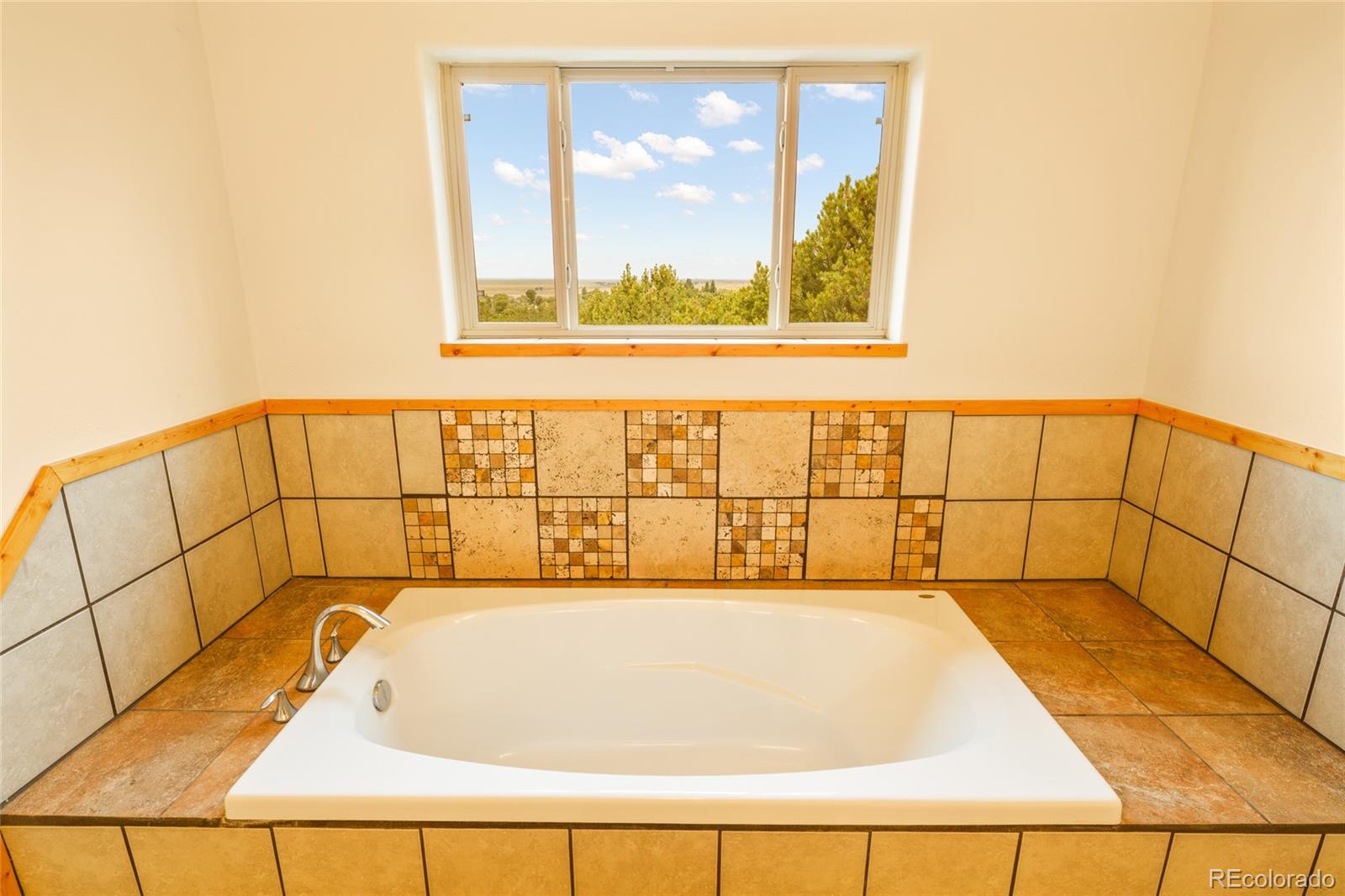 MLS Image #33 for 235 s hemlock street,crestone, Colorado