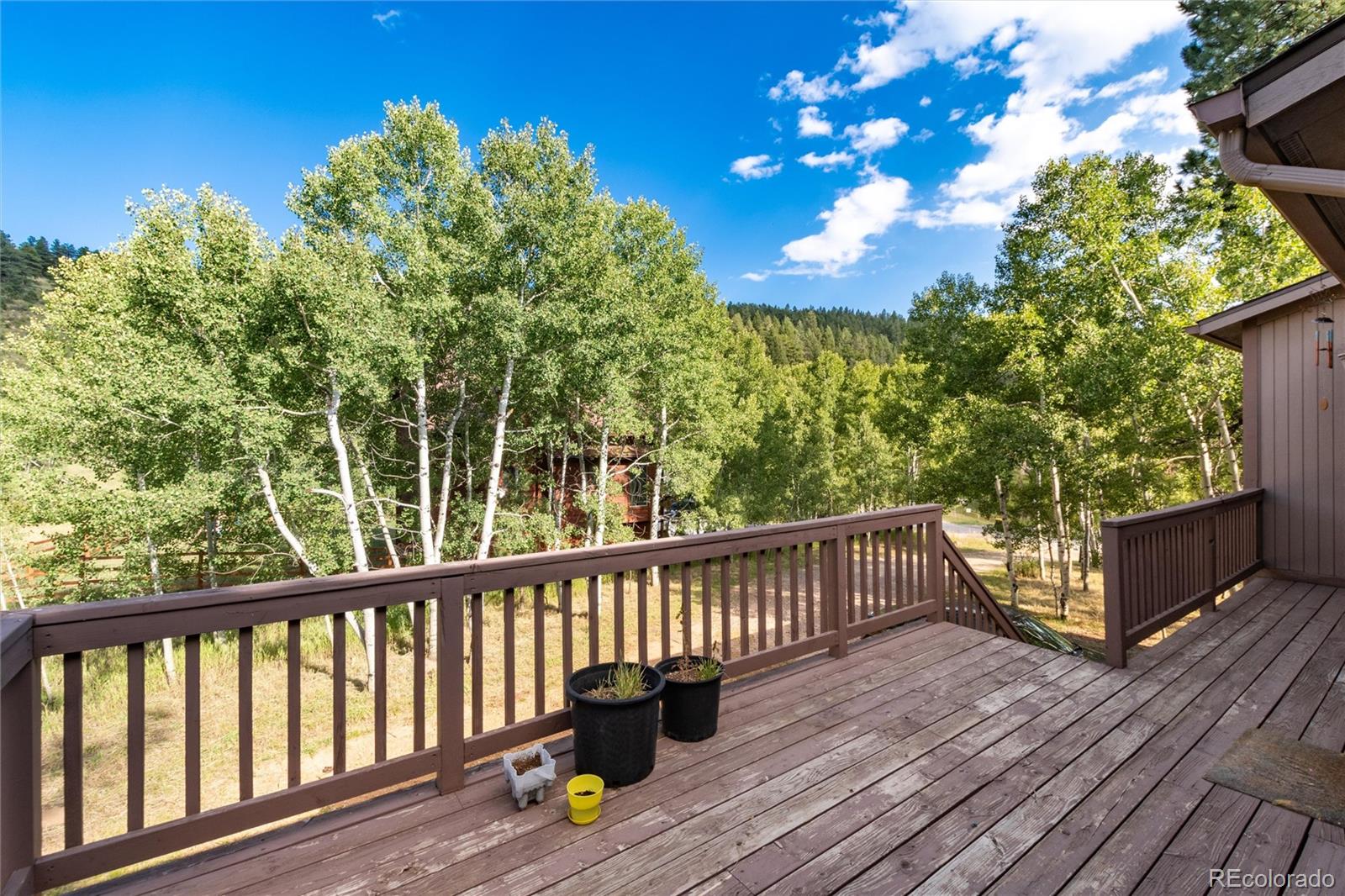 MLS Image #28 for 65  silver springs road,bailey, Colorado