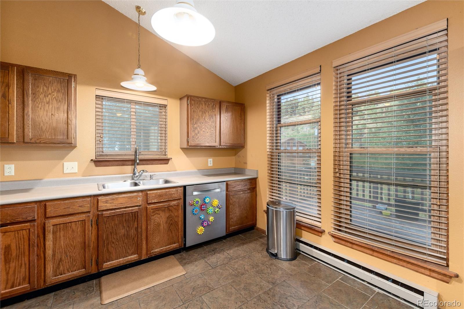MLS Image #9 for 65  silver springs road,bailey, Colorado
