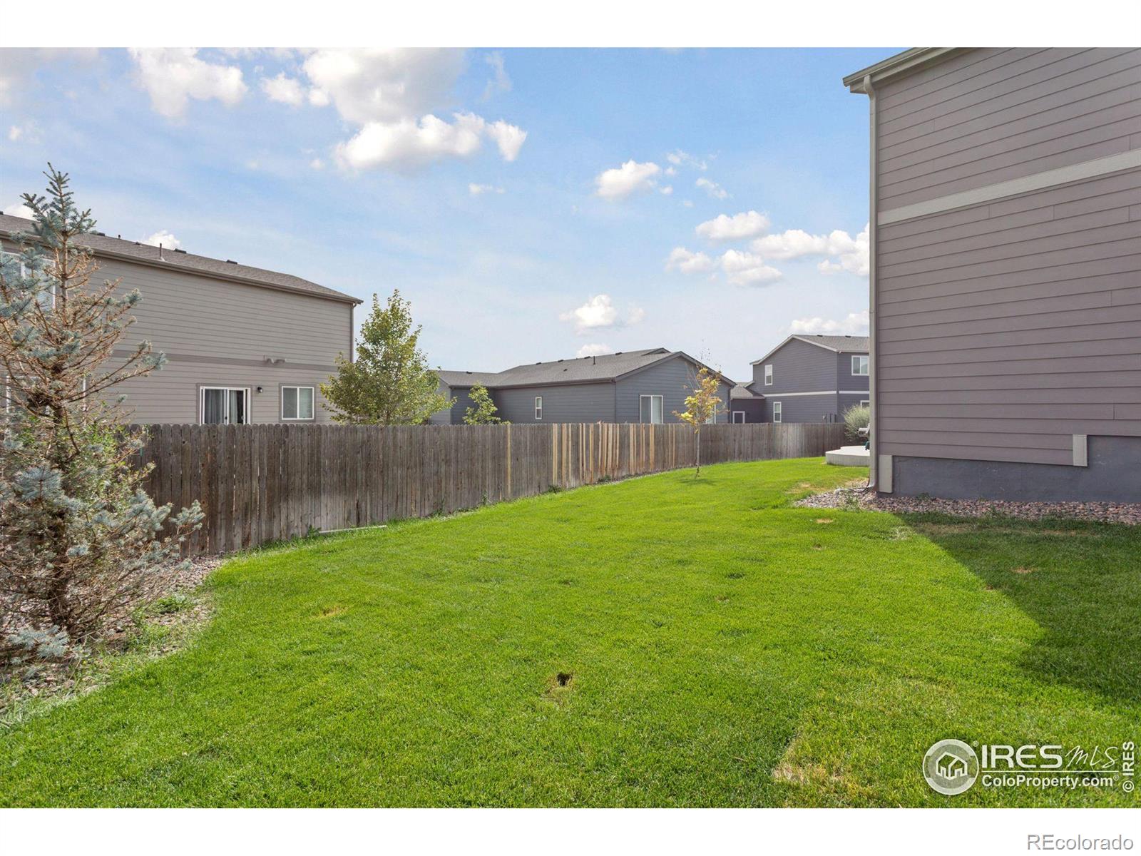MLS Image #41 for    ,, Colorado