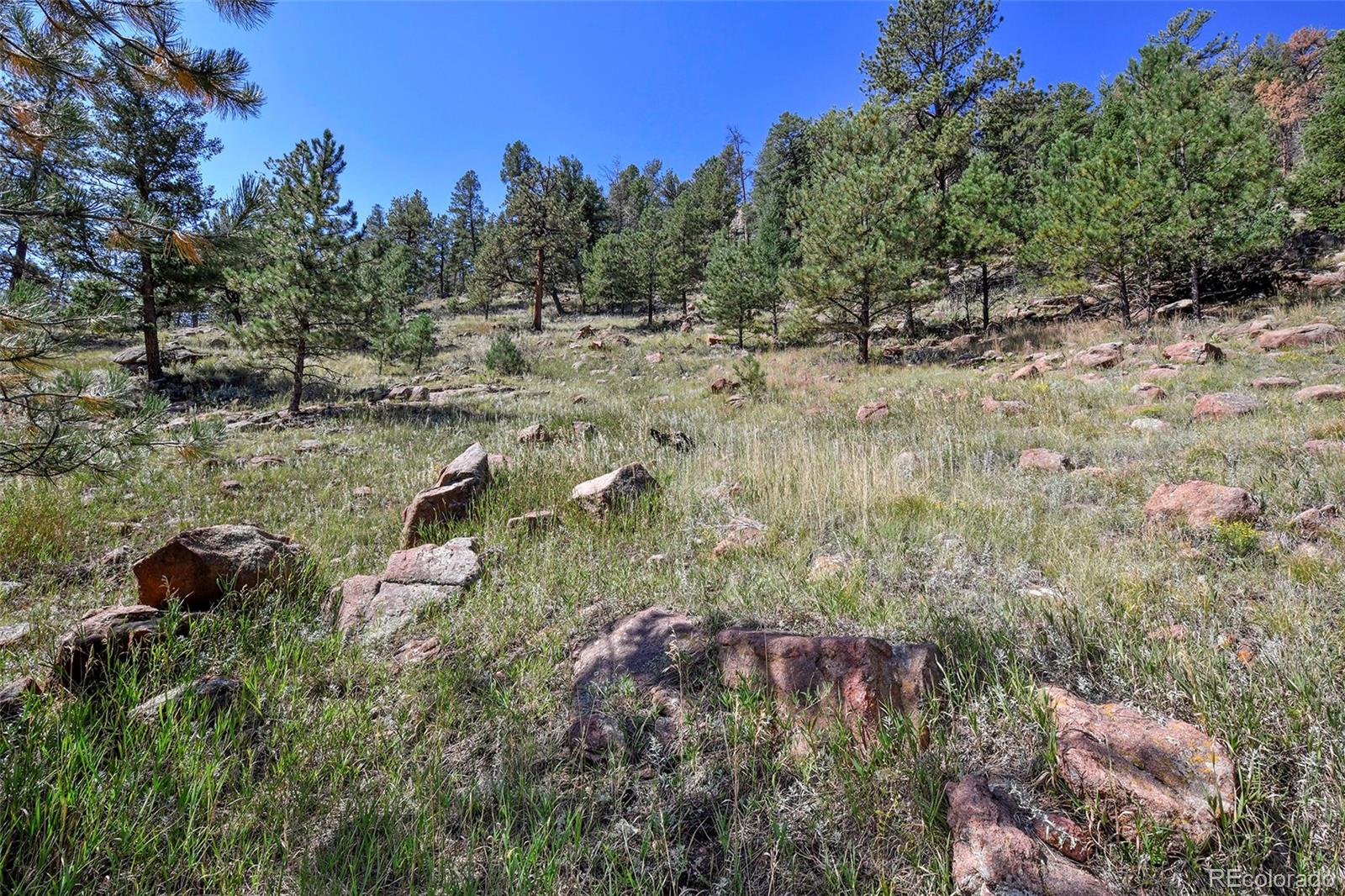 MLS Image #10 for 79  ranch view drive,florissant, Colorado