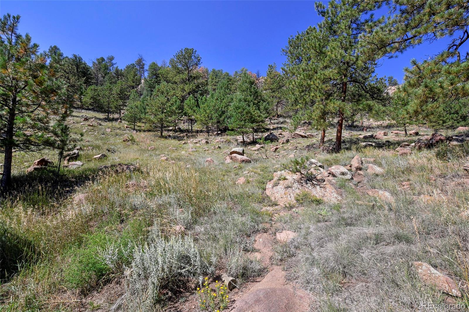 MLS Image #12 for 79  ranch view drive,florissant, Colorado