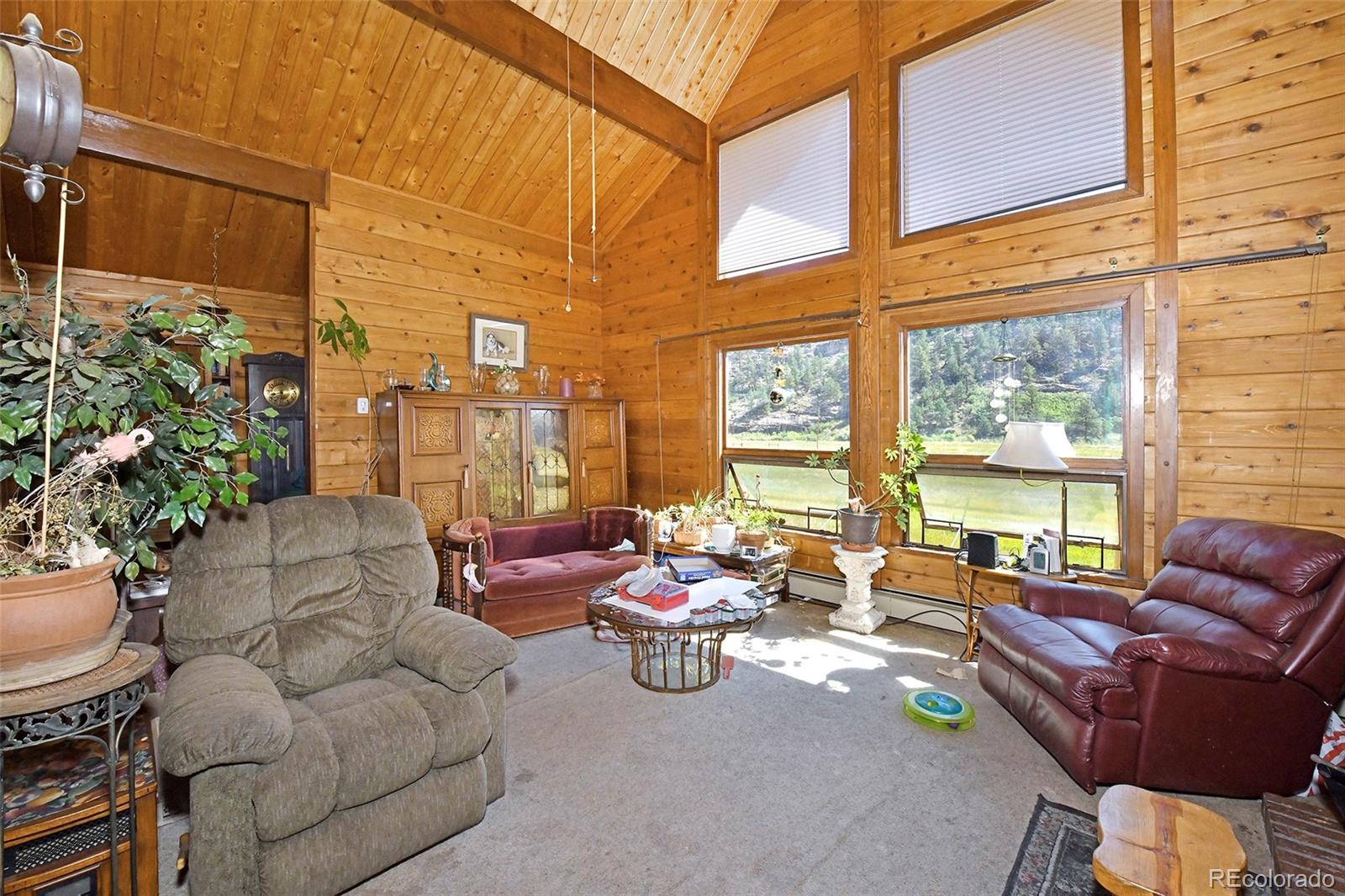 MLS Image #29 for 79  ranch view drive,florissant, Colorado