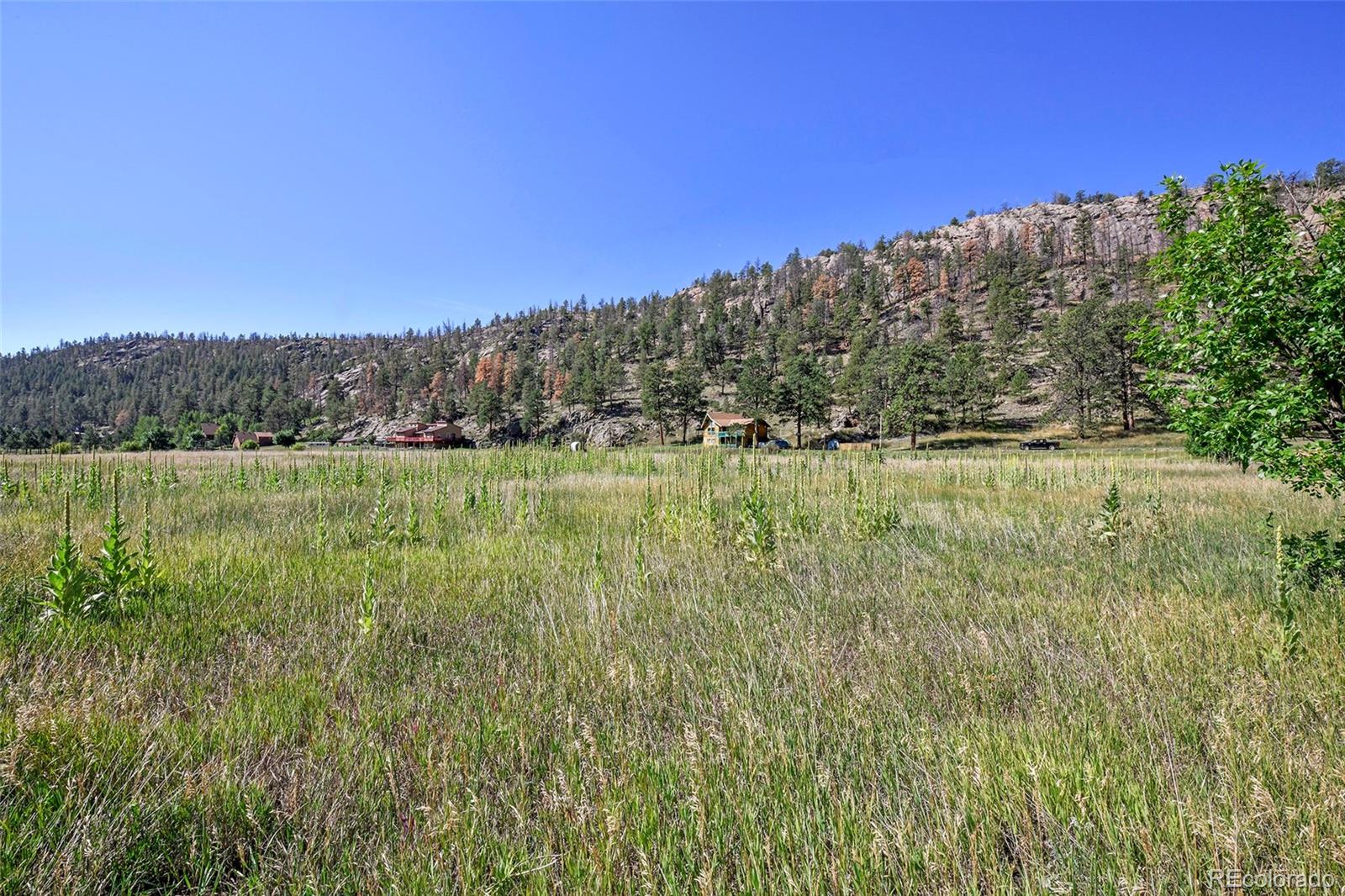 MLS Image #3 for 79  ranch view drive,florissant, Colorado