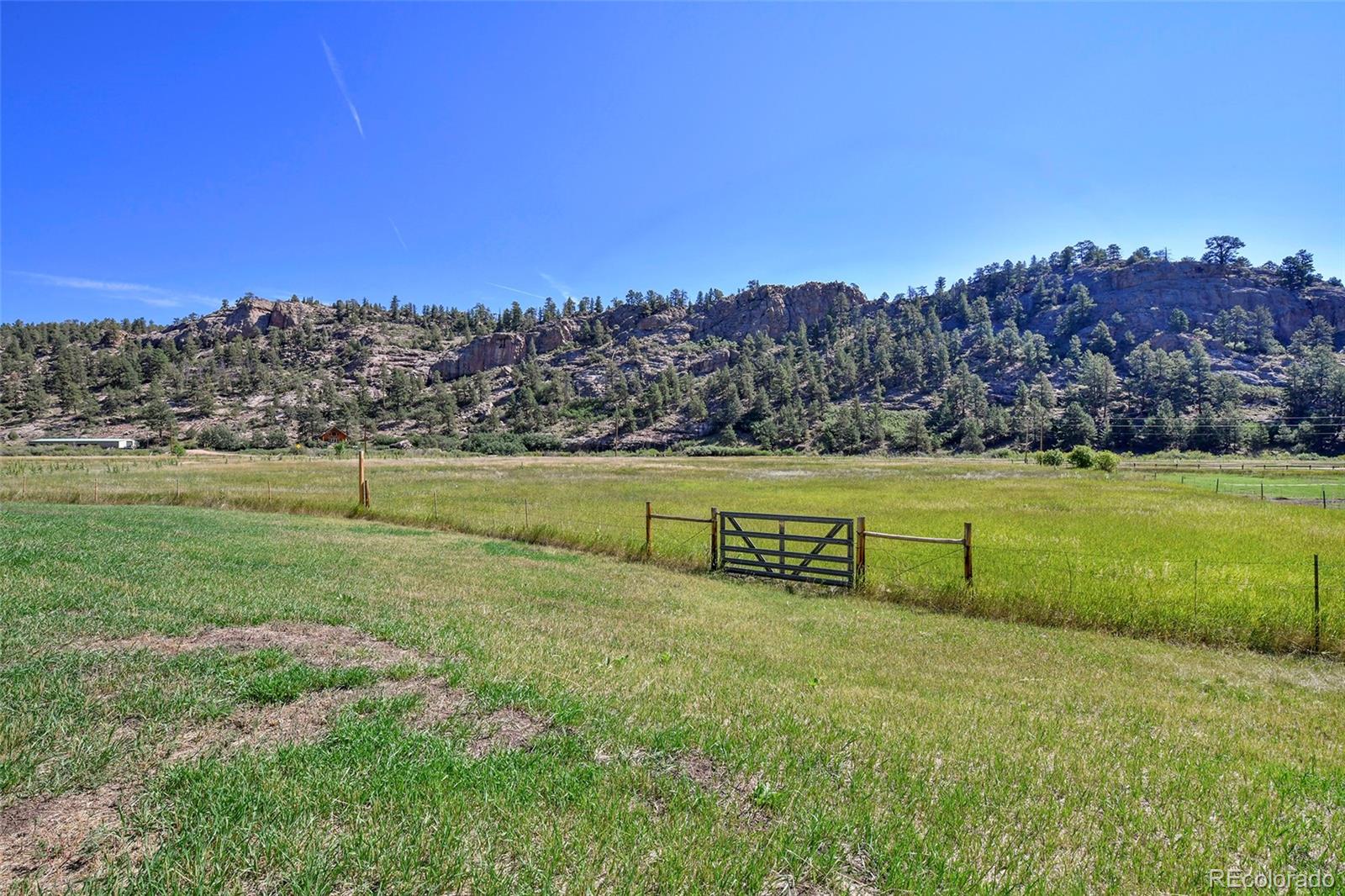 MLS Image #6 for 79  ranch view drive,florissant, Colorado