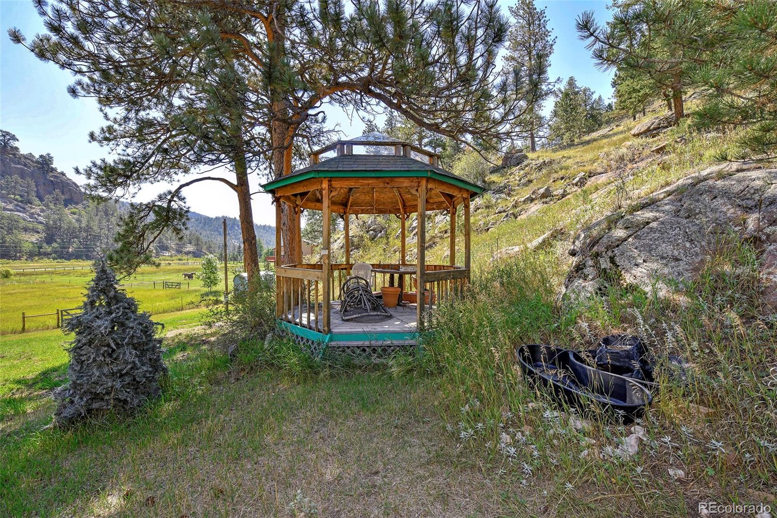 MLS Image #9 for 79  ranch view drive,florissant, Colorado