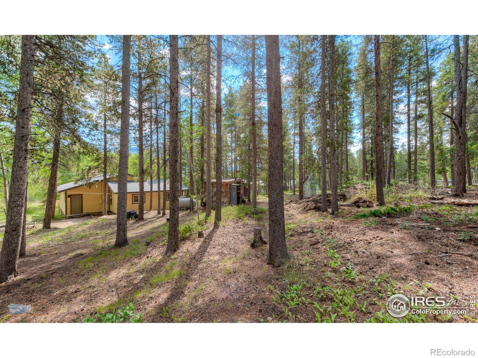 MLS Image #29 for 423  mountain meadows drive,black hawk, Colorado