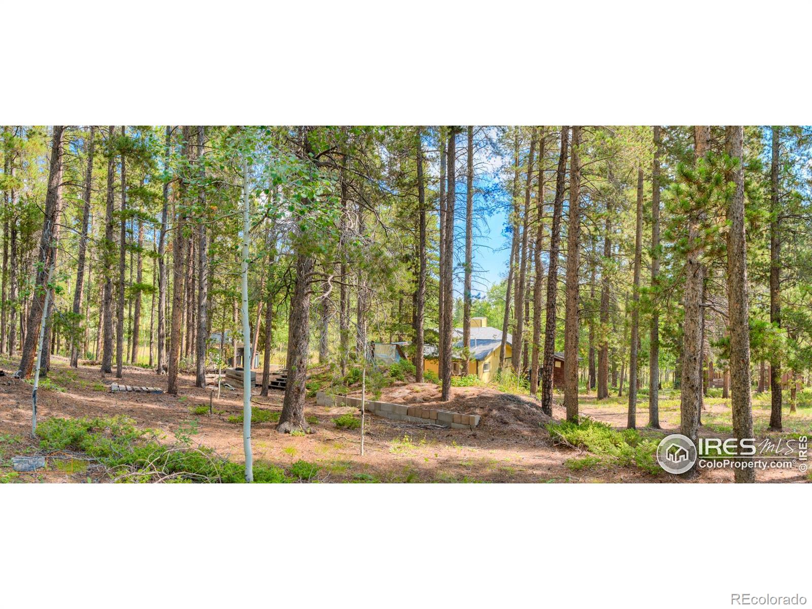 MLS Image #30 for 423  mountain meadows drive,black hawk, Colorado