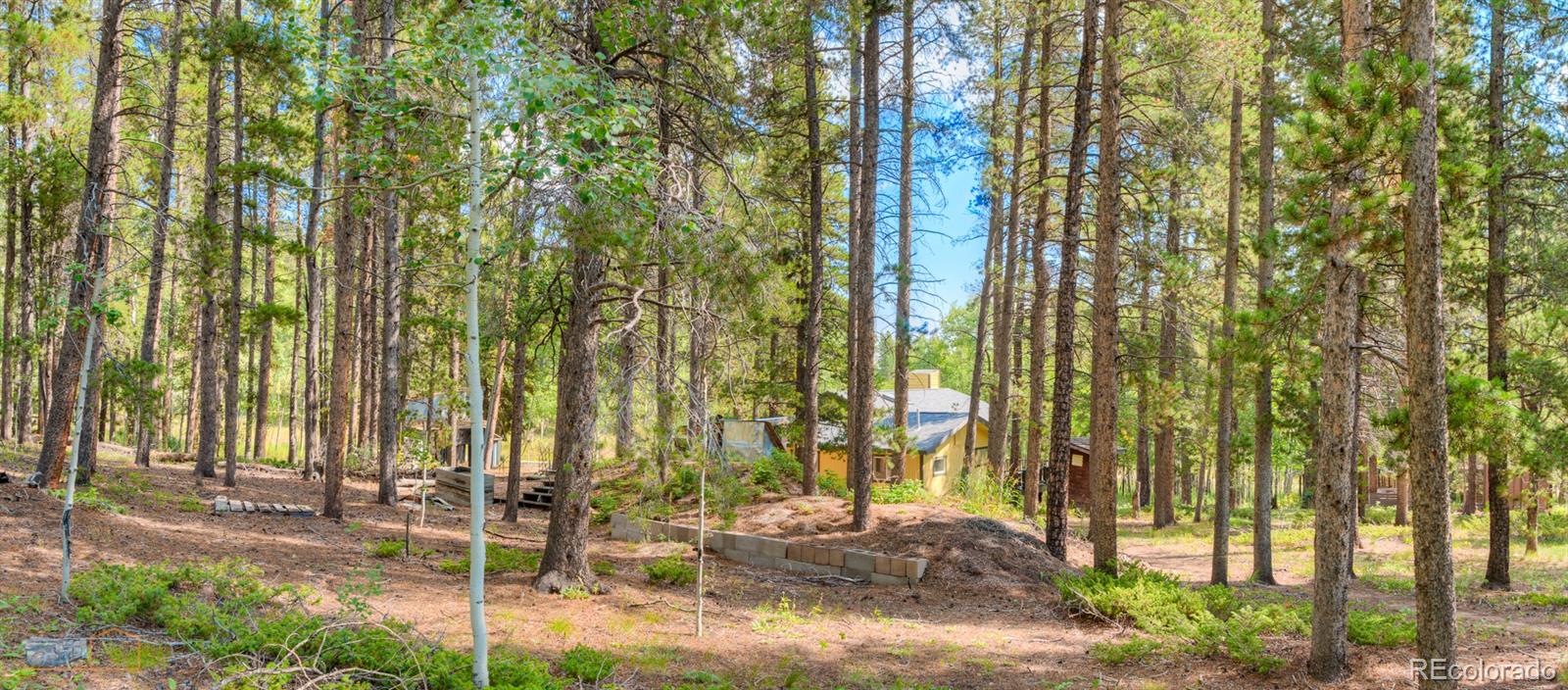 MLS Image #23 for 423  mountain meadows drive,black hawk, Colorado