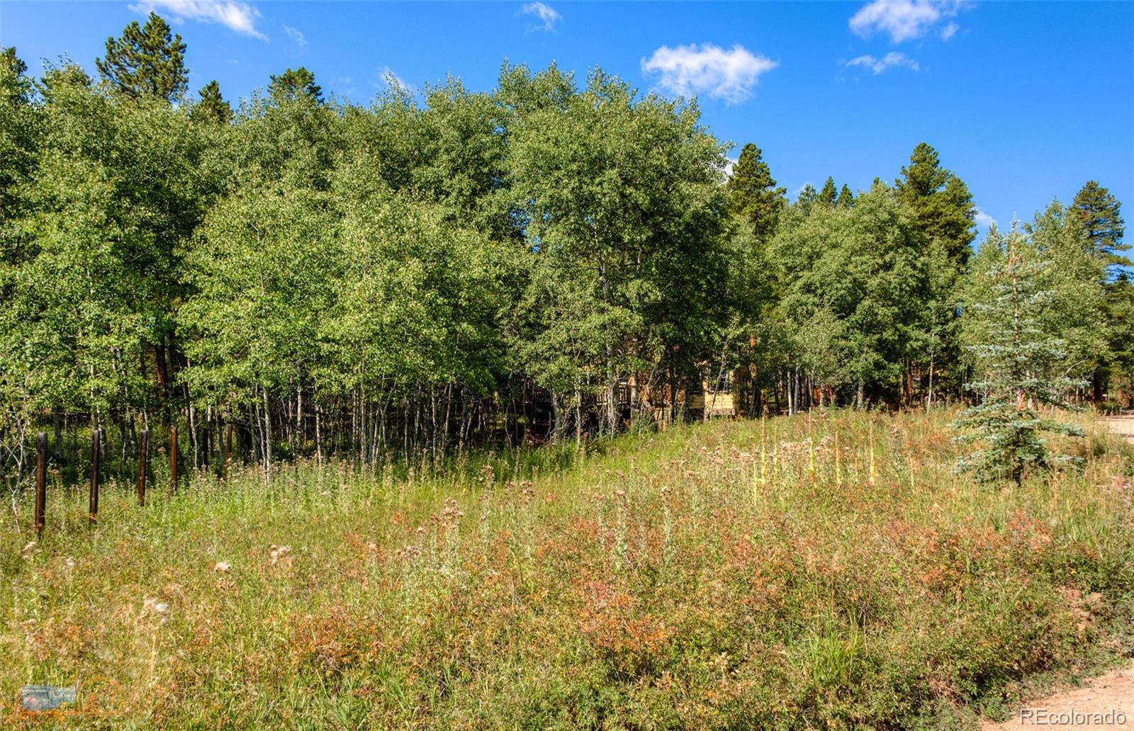 MLS Image #3 for 423  mountain meadows drive,black hawk, Colorado