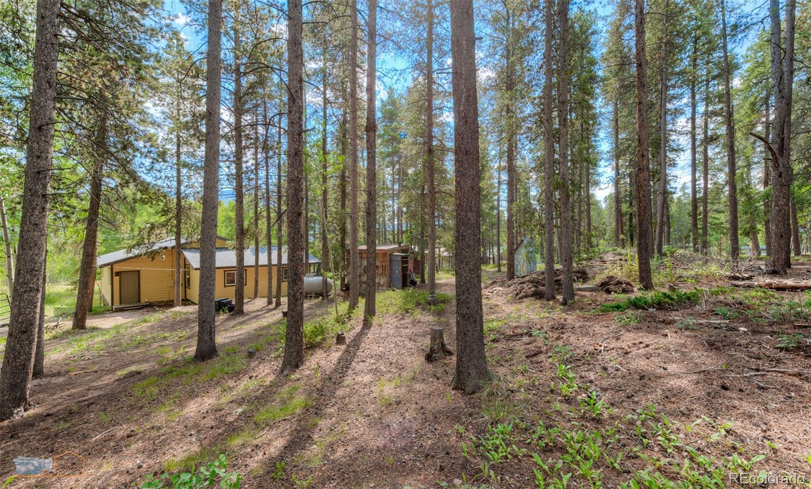 MLS Image #7 for 423  mountain meadows drive,black hawk, Colorado