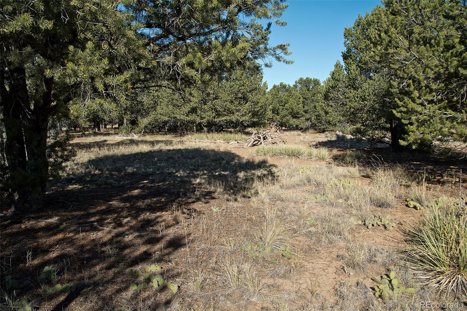 MLS Image #6 for 2077  medicine bow overlook ,crestone, Colorado