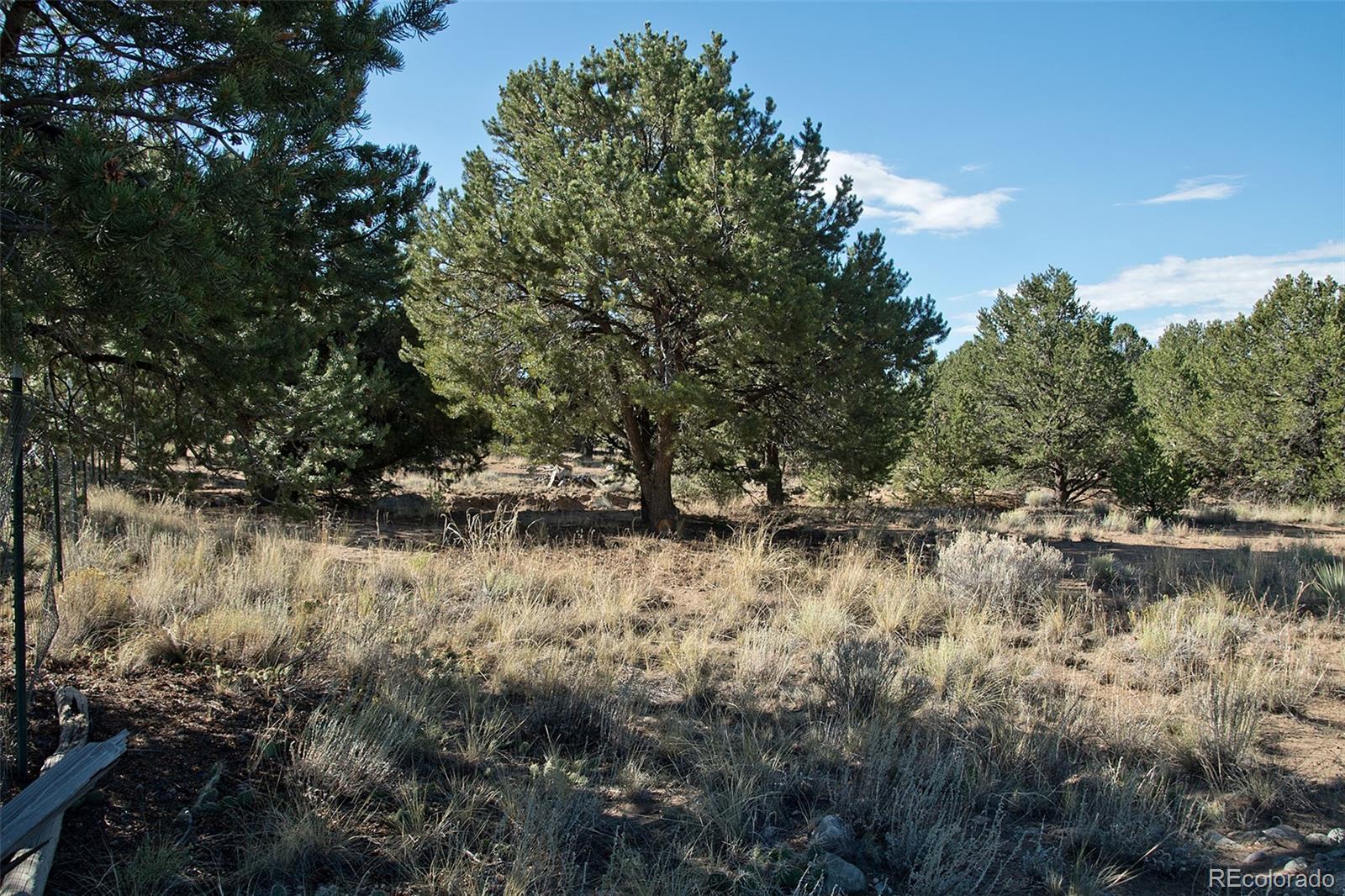 MLS Image #7 for 2077  medicine bow overlook ,crestone, Colorado