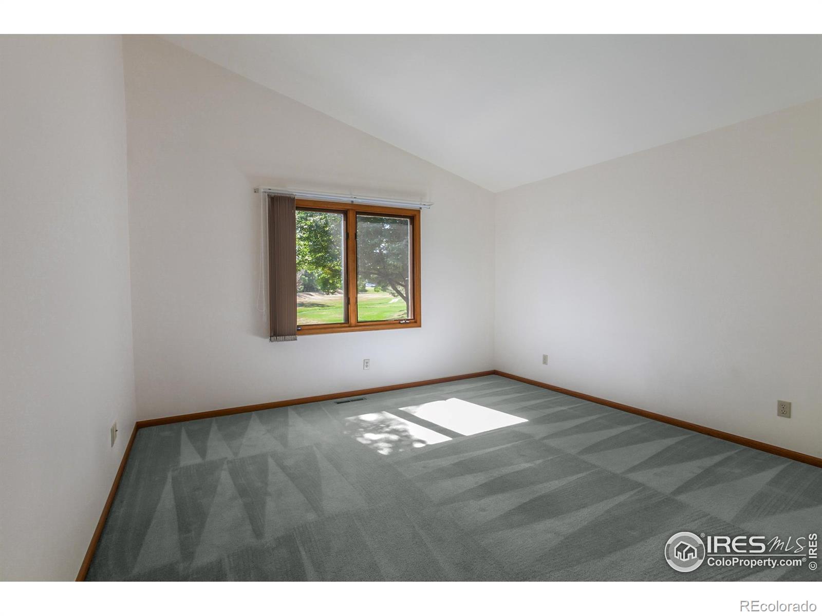 MLS Image #13 for 3500  carlton avenue,fort collins, Colorado