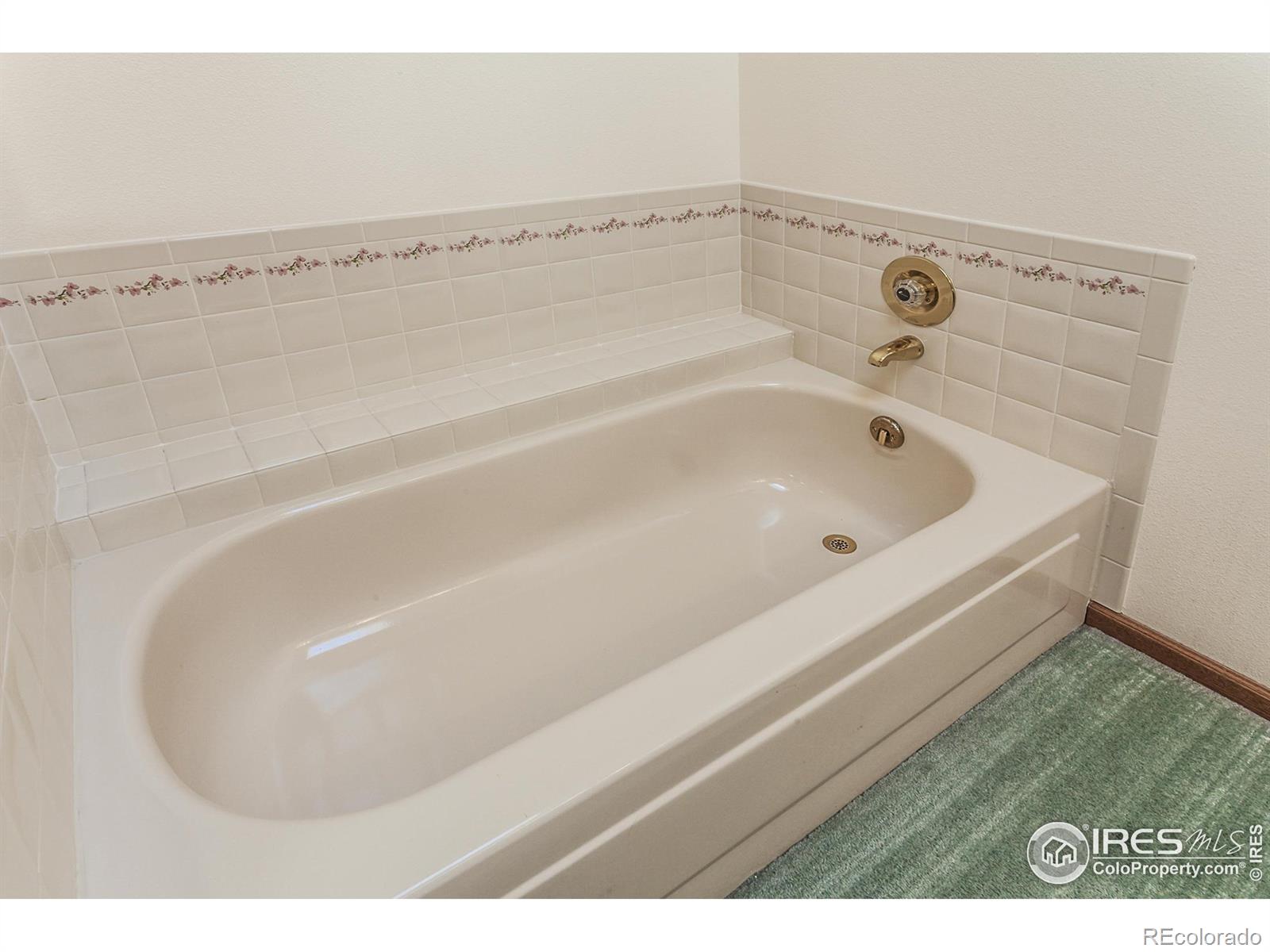 MLS Image #17 for 3500  carlton avenue,fort collins, Colorado