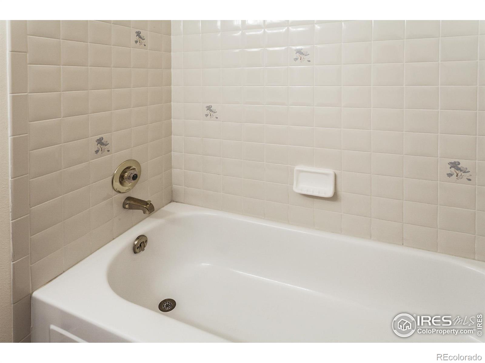 MLS Image #20 for 3500  carlton avenue,fort collins, Colorado