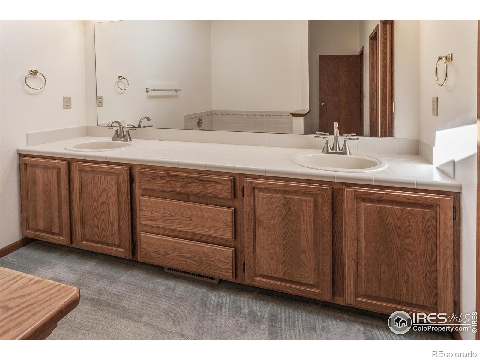 MLS Image #23 for 3500  carlton avenue,fort collins, Colorado