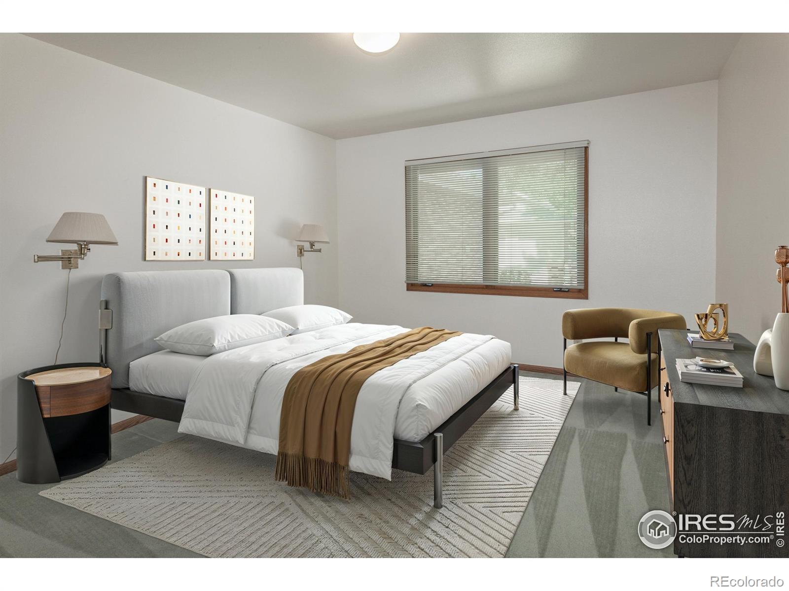 MLS Image #24 for 3500  carlton avenue,fort collins, Colorado