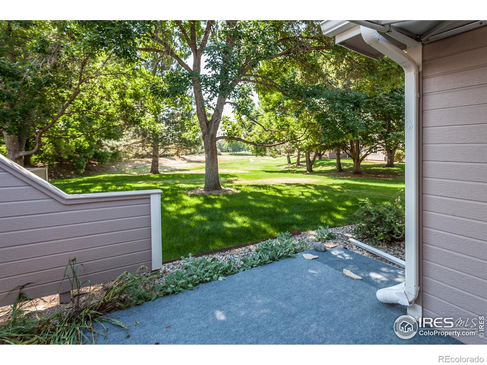 MLS Image #26 for 3500  carlton avenue,fort collins, Colorado