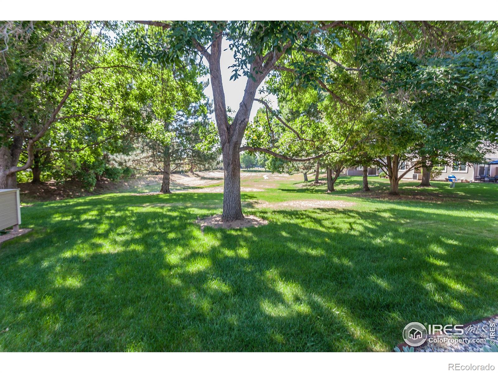 MLS Image #27 for 3500  carlton avenue,fort collins, Colorado