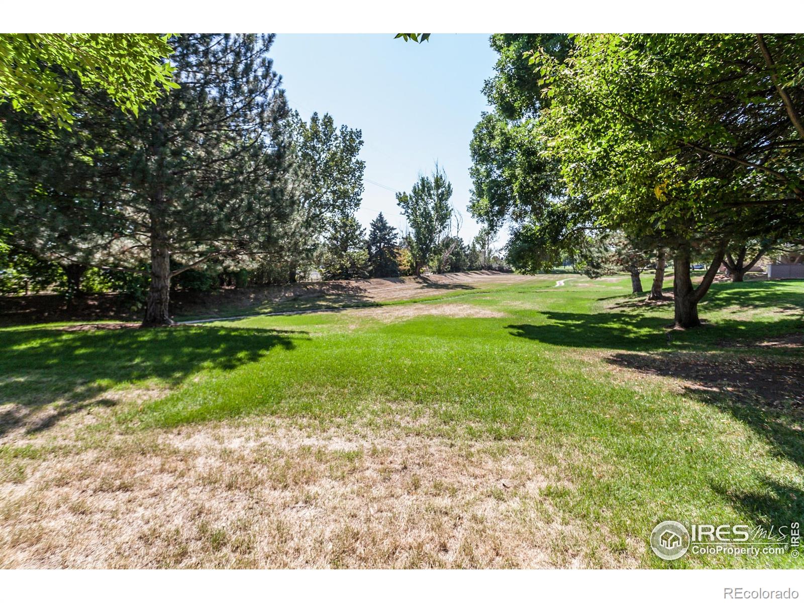 MLS Image #28 for 3500  carlton avenue,fort collins, Colorado