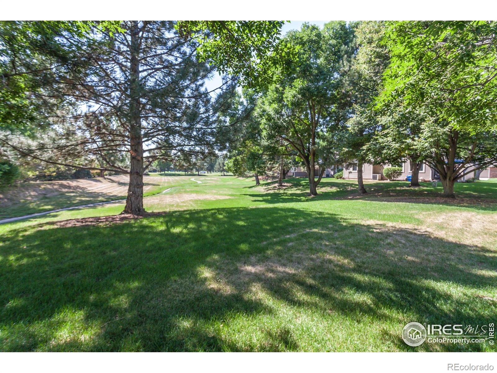 MLS Image #32 for 3500  carlton avenue,fort collins, Colorado