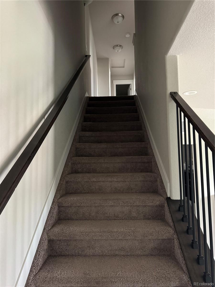 MLS Image #21 for 6577  rubicon heights,colorado springs, Colorado